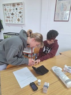 Svjetski dan borbe protiv šećerne bolesti